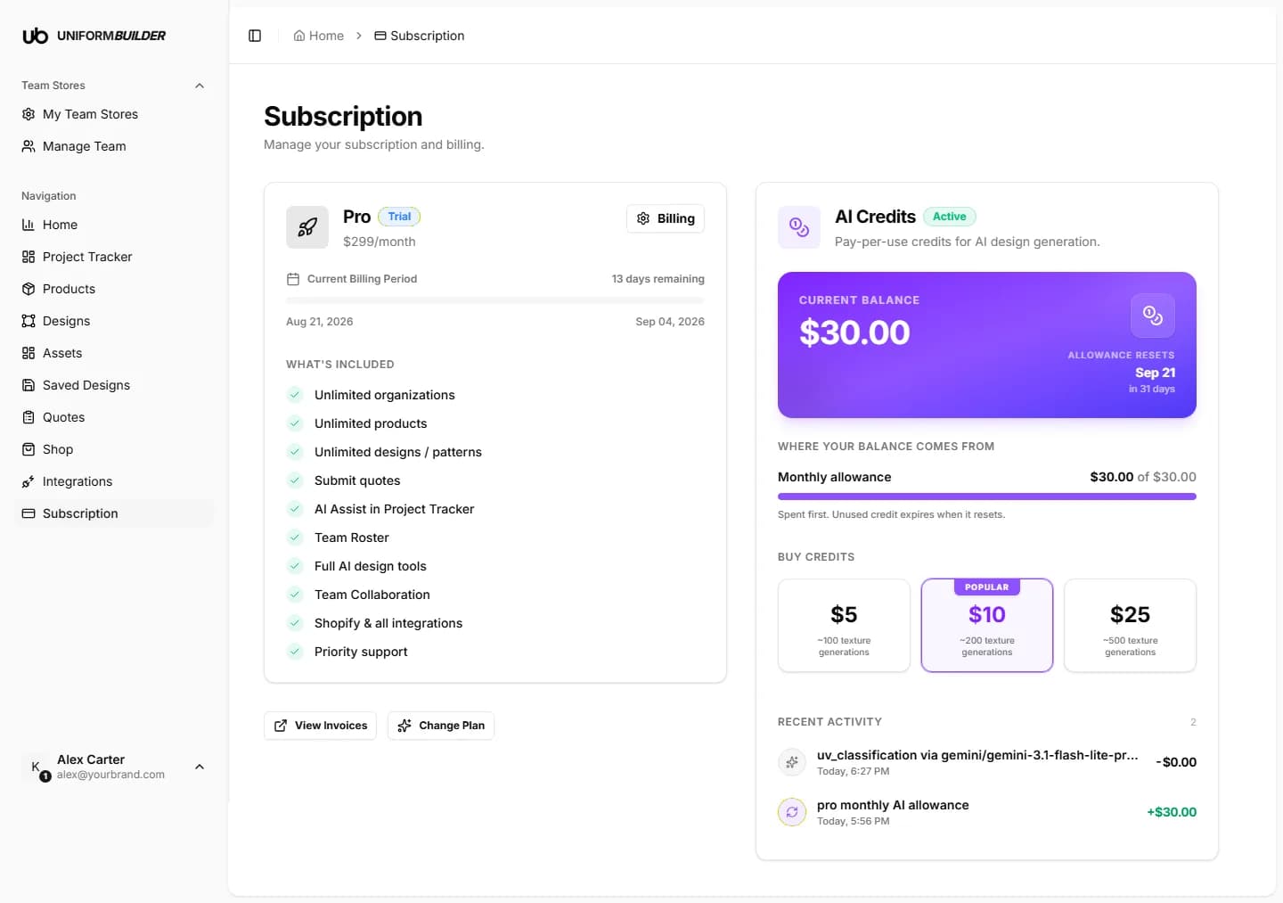 The subscription page showing the plan card and the AI credits card
